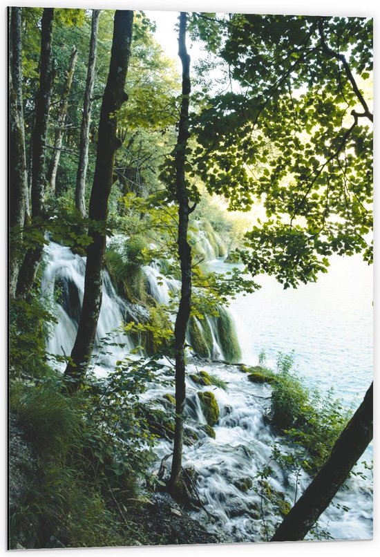 Dibond - Watervallen in het Bos met Bomen - 60x90cm Foto op Aluminium (Wanddecoratie van metaal)