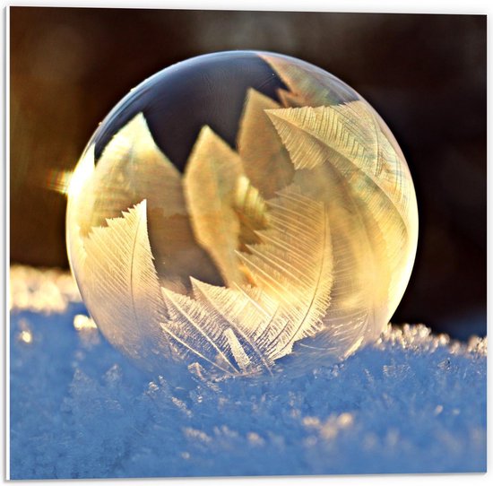 Forex - Glazen Bal met Sneeuwvlokken - 50x50cm Foto op Forex