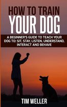 How to Train Your Dog