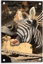 Tuinposter – Gestreepte Zebra - 40x60cm Foto op Tuinposter  (wanddecoratie voor buiten en binnen)
