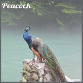 Peacock 2021 Wall Calendar