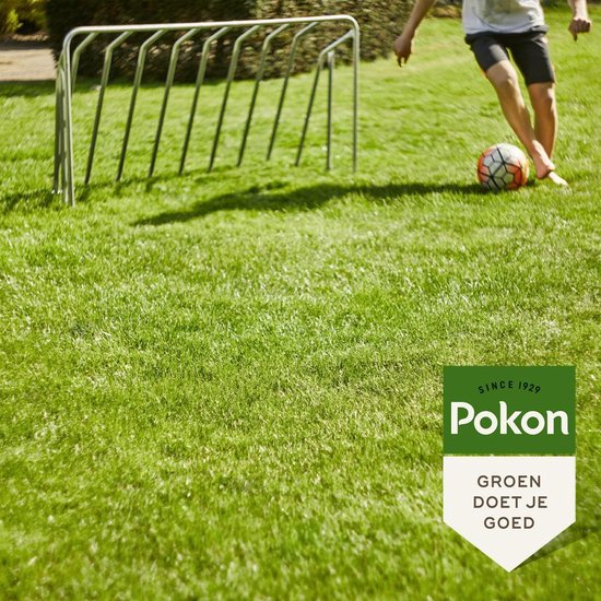 Pokon Graszaad Inzaai - 500gr - Gazonzaad - Geschikt voor 25m² - IJzersterk groen en zelfherstellend gras - Pokon