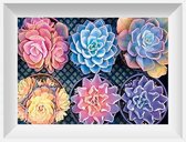 Artstudioclub® Diamond painting volwassenen Succulent-30X40 volledige bedekking