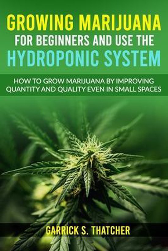 Growing Marijuana for Beginners & Use the Hydroponic System