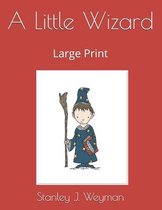 A Little Wizard