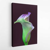 Glowing neon green violet calla blossom, dark red background,fine art still life color macro,single detailed textured bloom,vintage painting style - Modern Art Canvas-Vertical - 1699908232 - 115*75 Vertical