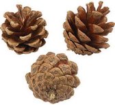 Denneappels, d: 40 mm, circa 60 stuk, , 500gr