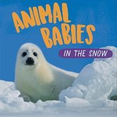 Animal Babies- Animal Babies: In the Snow