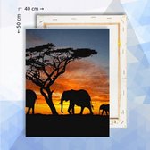 Schilderen op nummer pakket Olifant silhouet - Portrait - 40 x 50 cm  - met frame