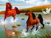 Dielay - Diamond Painting Pakket - Paarden in Water - 40x30 cm - Complete Set - Volledige Bedekking - Ronde Steentjes