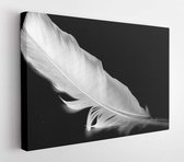 Onlinecanvas - Schilderij - Feather A Bird On A Background Art Horizontal Horizontal - Multicolor - 40 X 50 Cm