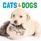 Animal Lovers- Cats & Dogs