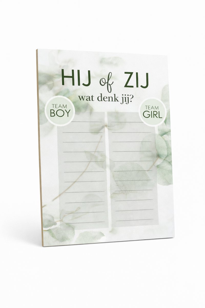 ZOOMPIL Gender Reveal Servies, Jongen of Meisje Papieren Servies