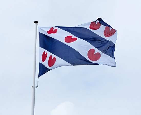 Friese vlag wapperend aan een vlaggenmast.