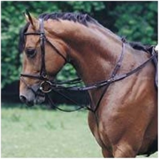 910 HB Thiedemann Teugel - Zwart - Pony