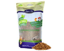 5 kg Lyra Pet® soldaatvlieglarven