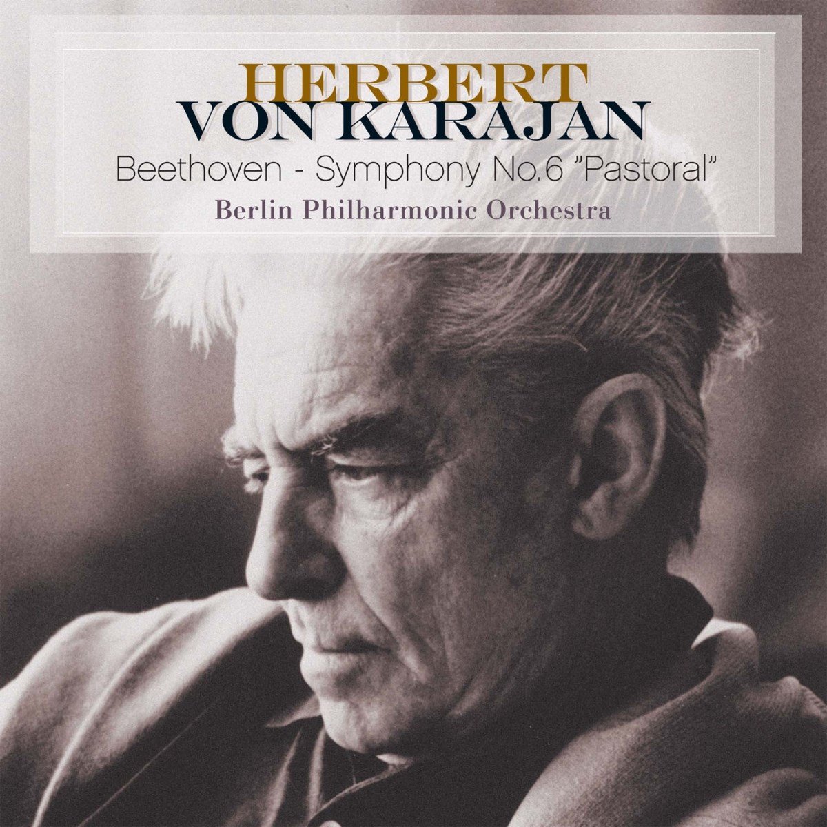 Beethoven: Symphony No. 6 'Pastoral'