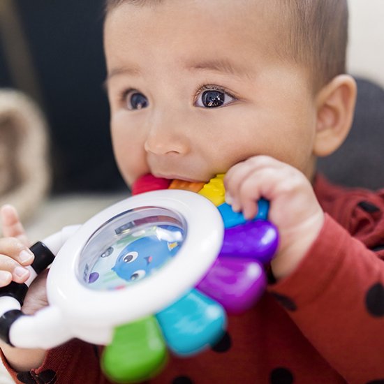 Baby Einstein Outstanding Octopus Rammelaar K12487 van Merkloos — afbeelding 3