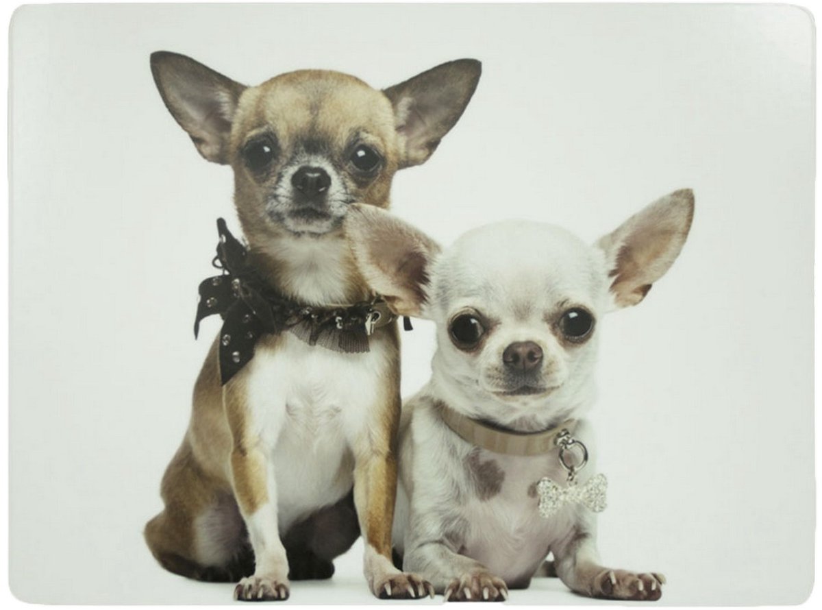 placemat chihuahua's 30x40cm (4)*