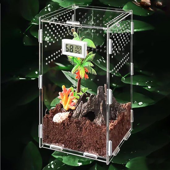 Reptielentank, transparante slangentankhagedis terrarium, baardrakentank, schuifdeksel amfibieënbehuizing, kleine reptielenhabitat voor reptielenhuisdieren