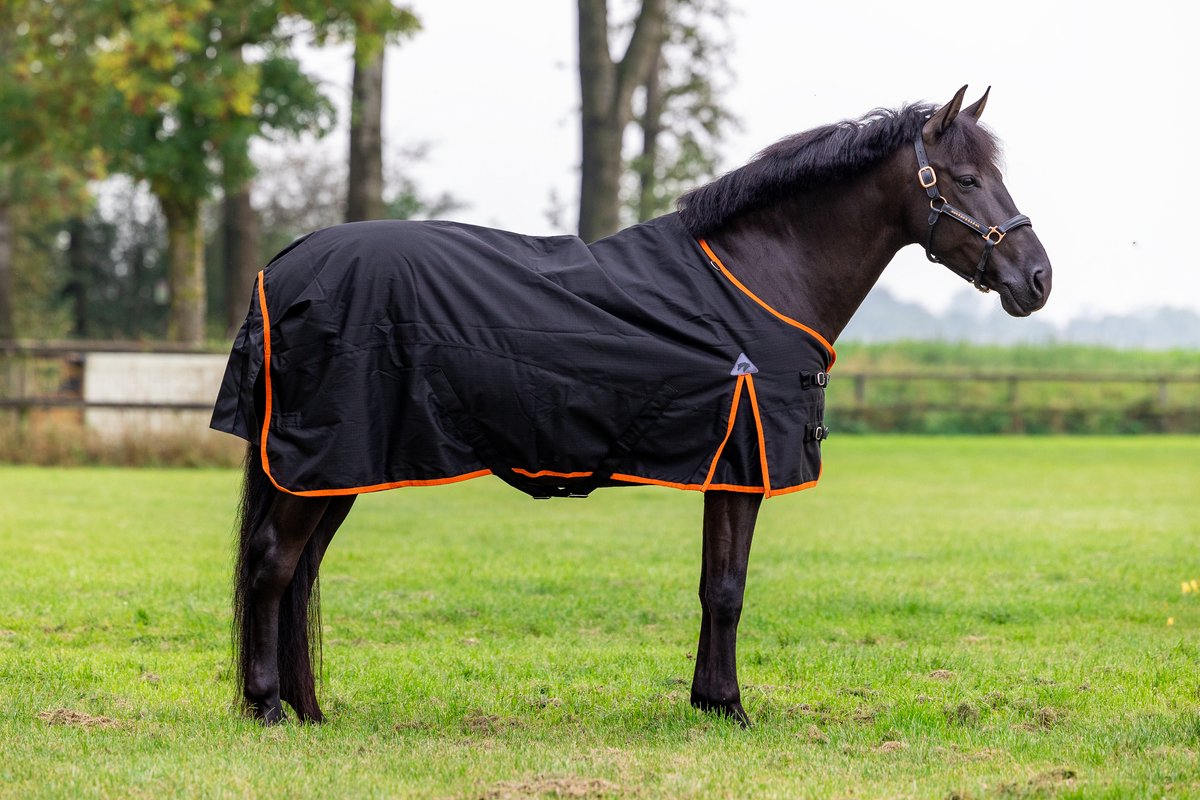 Master Winterdeken 600D 150g Zwart-165-215