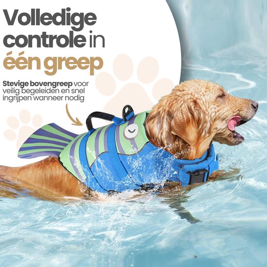 Gouden retriever in blauw zwemvest met groene en paarse strepen, vinnen en visgezicht, zwemmend in een zwembad.