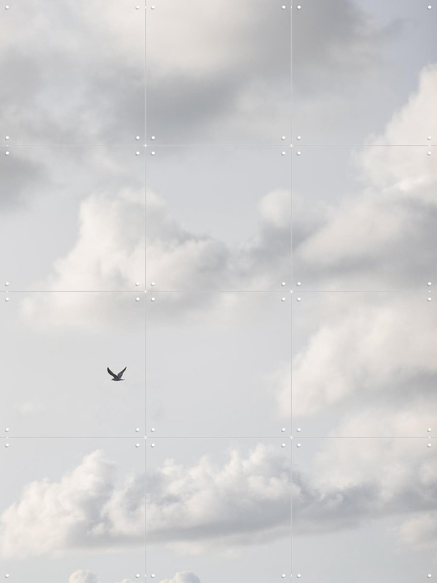 IXXI Free as a Bird 2, Mareike Böhmer - 60 x 80 cm - Gratis ophangtool - Grote wanddecoratie en posters - Fotografie, Grafisch Ontwerp, Minimalisme