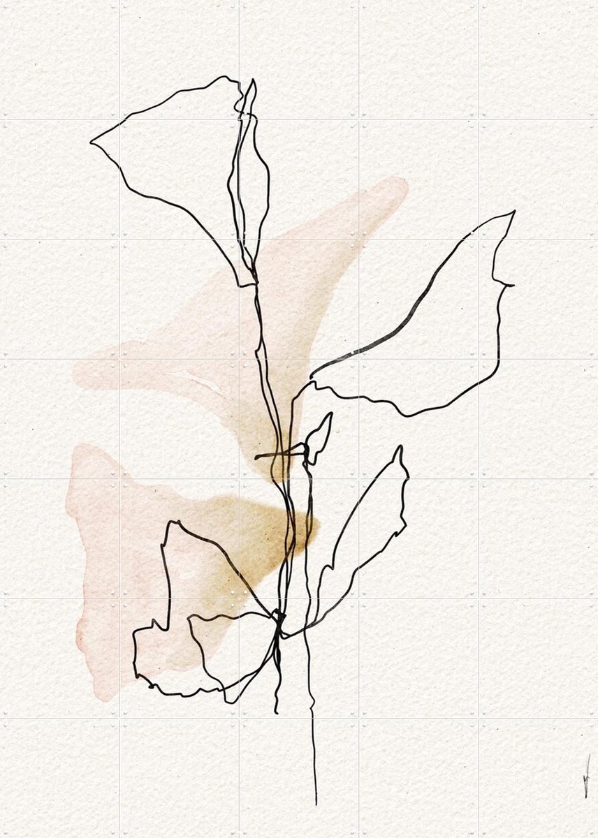 IXXI Minimal Bloom Lines, Ankie Kooi & Various - 100 x 140 cm - Gratis ophangtool - Grote wanddecoratie en posters - Line art, Aquarel, Minimalisme