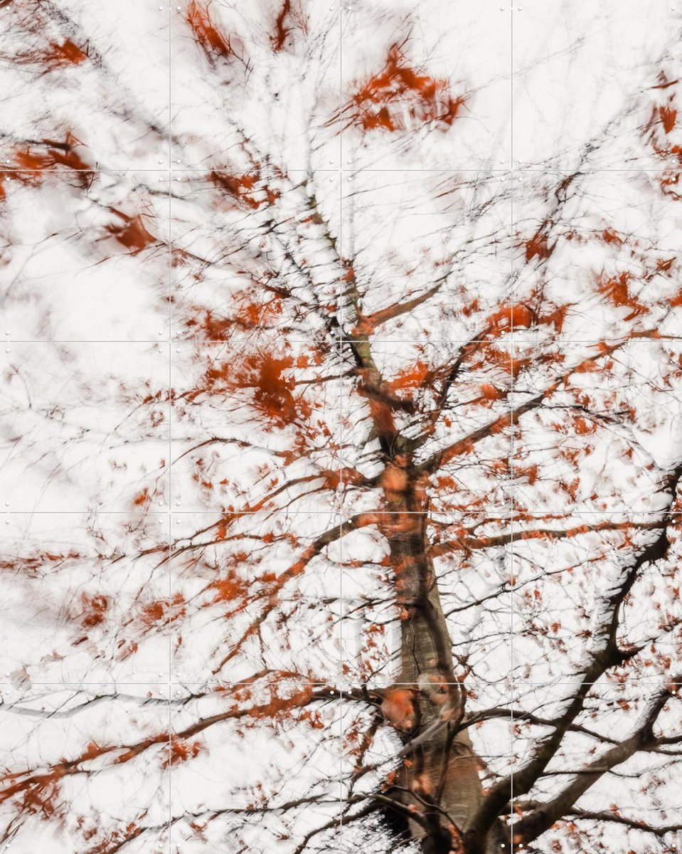 IXXI Autumn Tree, Photolovers - 80 x 100 cm - Gratis ophangtool - Grote wanddecoratie en posters - Abstract, Impressionisme, Fotografie, Slaapkamer