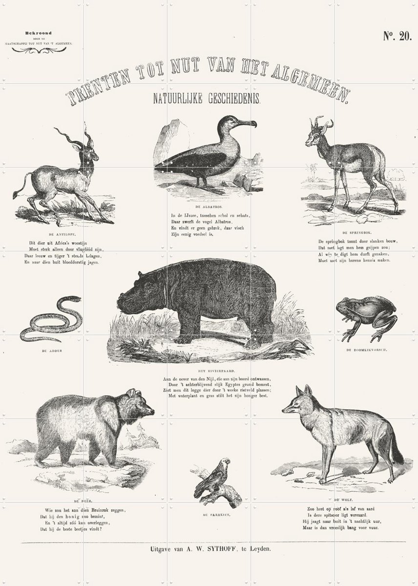 IXXI Animals Chart, Aster Edition - 100 x 140 cm - Gratis ophangtool - Grote wanddecoratie en posters - Illustraties, Vintage, Naturalisme, Houtsnede