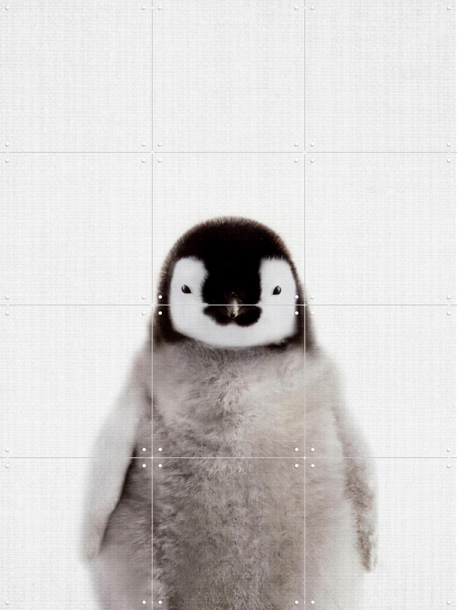 IXXI Print 362 Pinguin, Lila + Lola - 60 x 80 cm - Gratis ophangtool - Grote wanddecoratie en posters - Fotografie, Minimalisme, Woonkamer, Babykamer