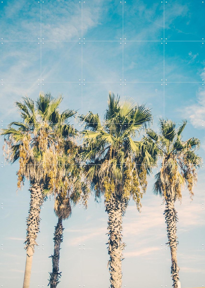 IXXI Barcelona Palm Trees, Pati Photography - 100 x 140 cm - Gratis ophangtool - Grote wanddecoratie en posters - Fotografie, Vintage, Slaapkamer
