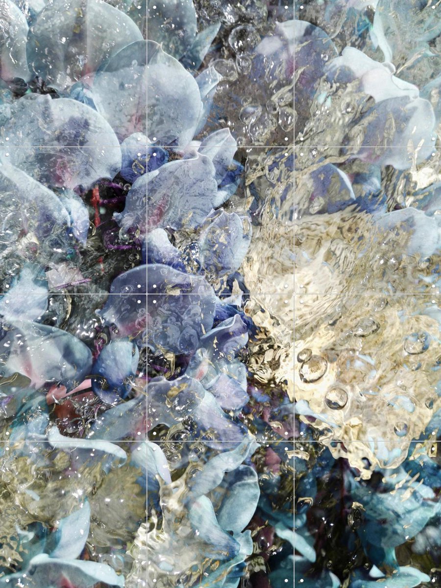 IXXI Serendipity, Angelo Cerantola - 60 x 80 cm - Gratis ophangtool - Grote wanddecoratie en posters - Fotografie, Abstract, Woonkamer, Slaapkamer