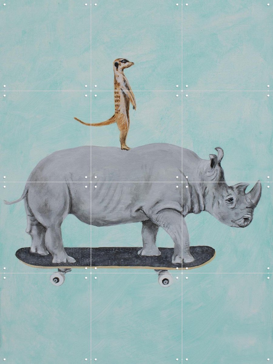 IXXI Rhinoceros and meerkat skateboarding, Coco de Paris - 60 x 80 cm - Gratis ophangtool - Grote wanddecoratie en posters - Illustraties, Cartoonesk