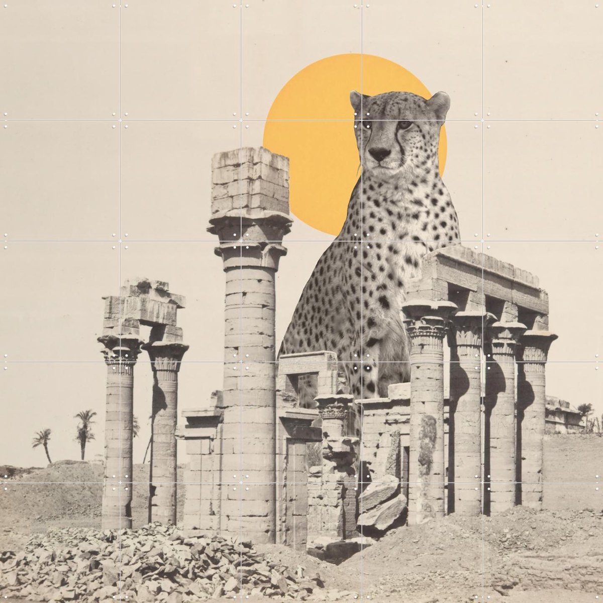 IXXI Giant Cheetah in Ruins, Florent Bodart - 100 x 100 cm - Gratis ophangtool - Grote wanddecoratie en posters - Vintage, Gemengde Technieken