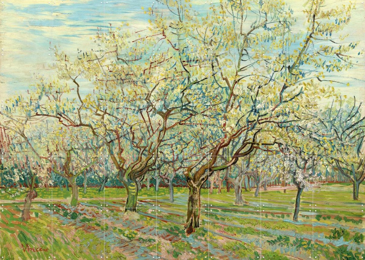 IXXI De witte boomgaard (1888), Vincent van Gogh (1853 - 1890) & Van Gogh Museum - 140 x 100 cm - Gratis ophangtool - Grote wanddecoratie en posters -