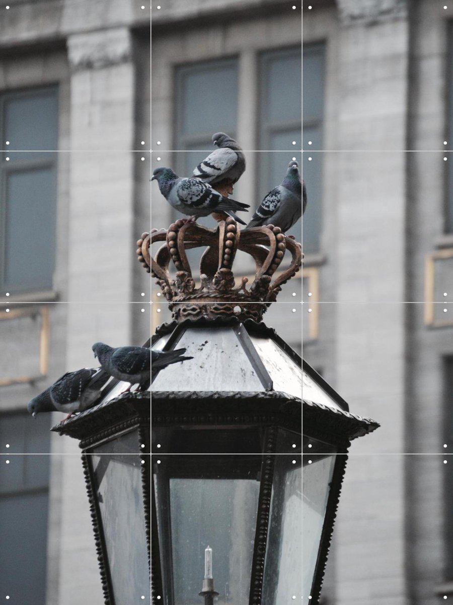 IXXI Doves on Dam Square, Edwin Fotografeert & Kunst in Kaart - 60 x 80 cm - Gratis ophangtool - Grote wanddecoratie en posters - Fotografie