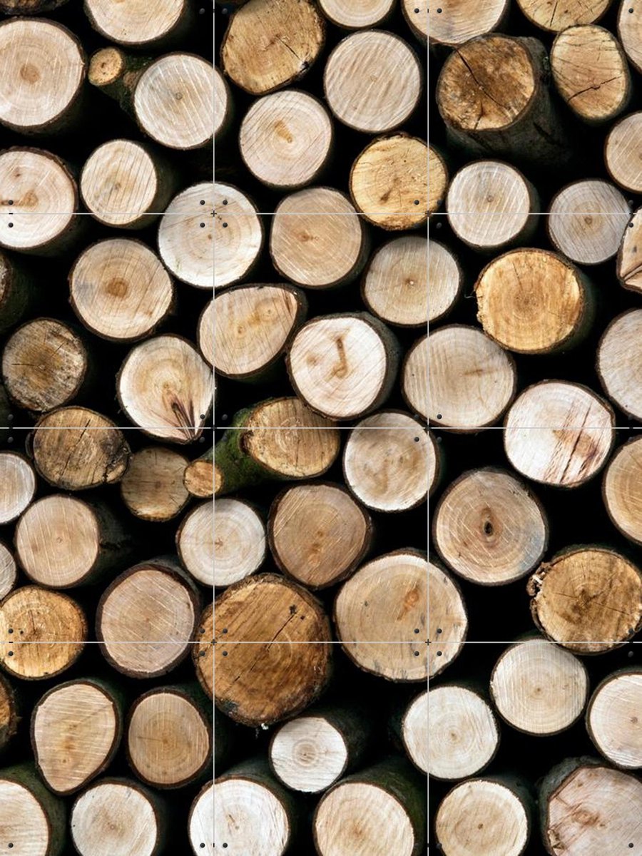 IXXI Wood, IXXI - 60 x 80 cm - Gratis ophangtool - Grote wanddecoratie en posters - Naturalisme, Fotografie, Slaapkamer, Eetkamer, Woonkamer, Natuur
