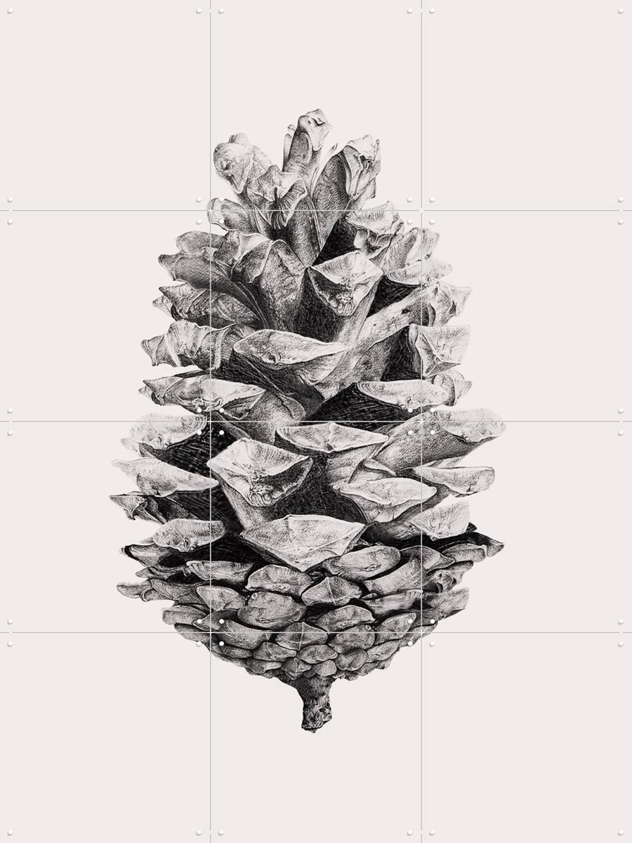 IXXI Pinecone, IXXI - 60 x 80 cm - Gratis ophangtool - Grote wanddecoratie en posters - Illustraties, Grafisch Ontwerp, Line art, Slaapkamer