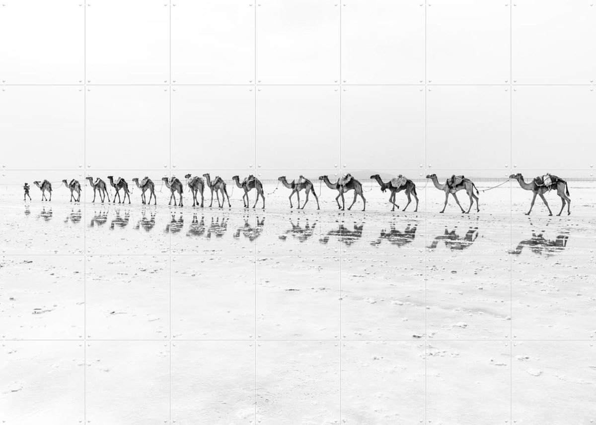 IXXI Salt Transport with Camels, Photolovers - 140 x 100 cm - Gratis ophangtool - Grote wanddecoratie en posters - Minimalisme, Fotografie, Woonkamer