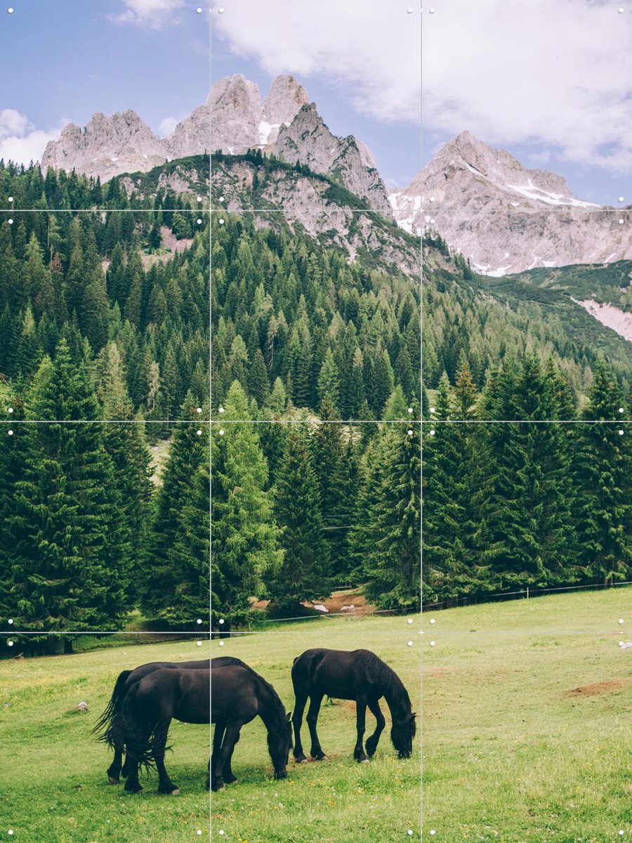 IXXI Friesian Horses in Alps, Pati Photography - 60 x 80 cm - Gratis ophangtool - Grote wanddecoratie en posters - Naturalisme, Fotografie, Kleurrijk