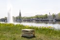 Houten Kubb kistje op gras bij een meer, met een fontein en gebouwen op de achtergrond.