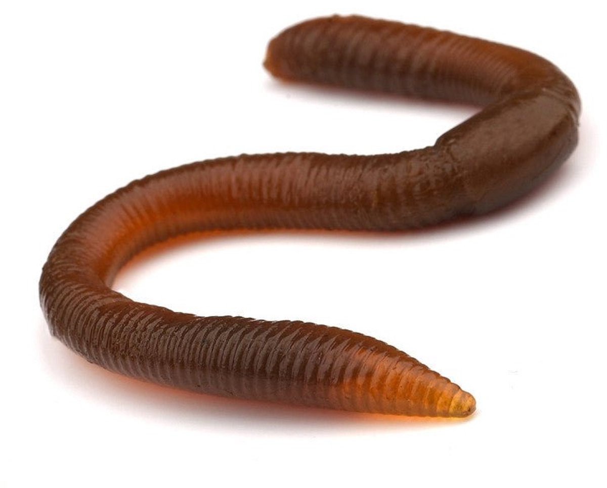 Spro Freestyle Twitch Worm