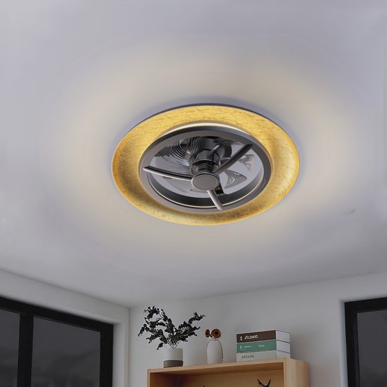 Proventa 55 cm Goud Zwart