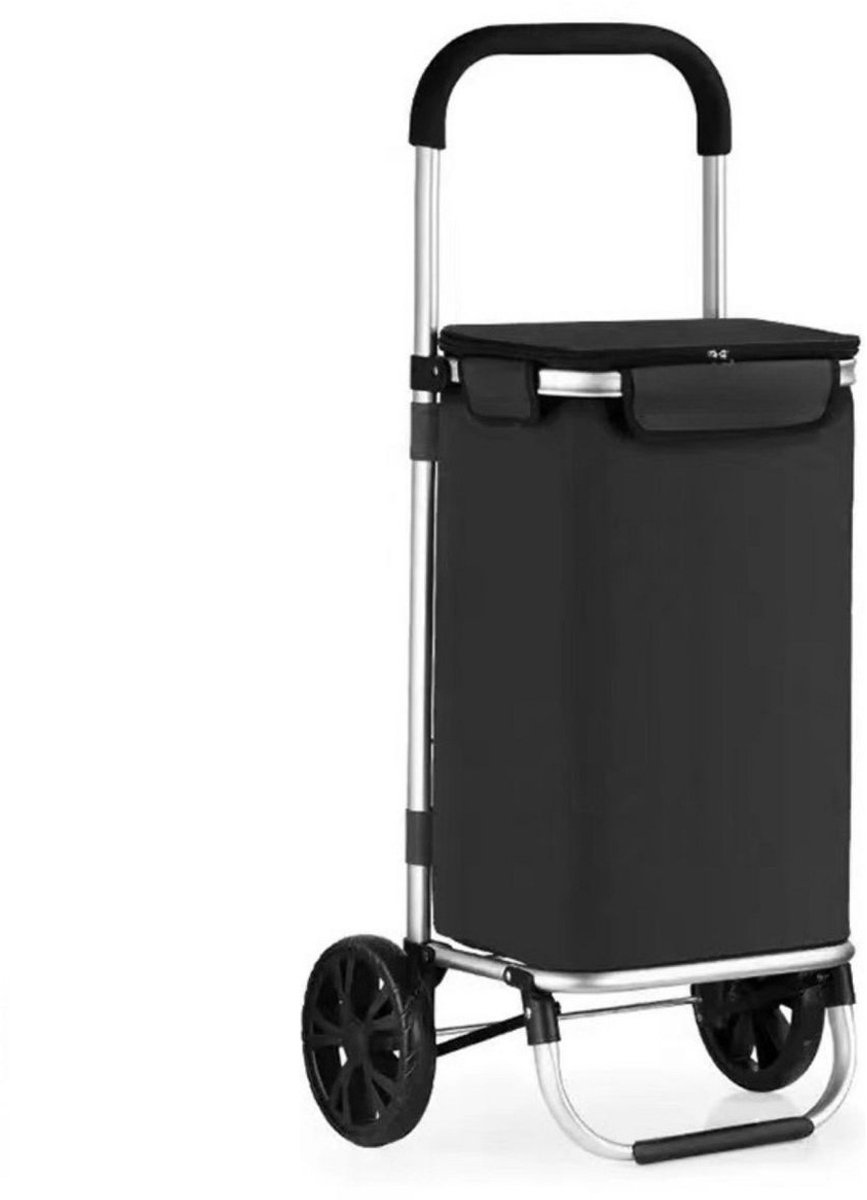 Boodschappentrolley - Boodschappenwagen - Boodschappenkar - Opvouwbaar - Grote Wielen - Afneembare Boodschappentas - Aluminium Trolley - 2 wielen - 40 Liter -Tot 40kg