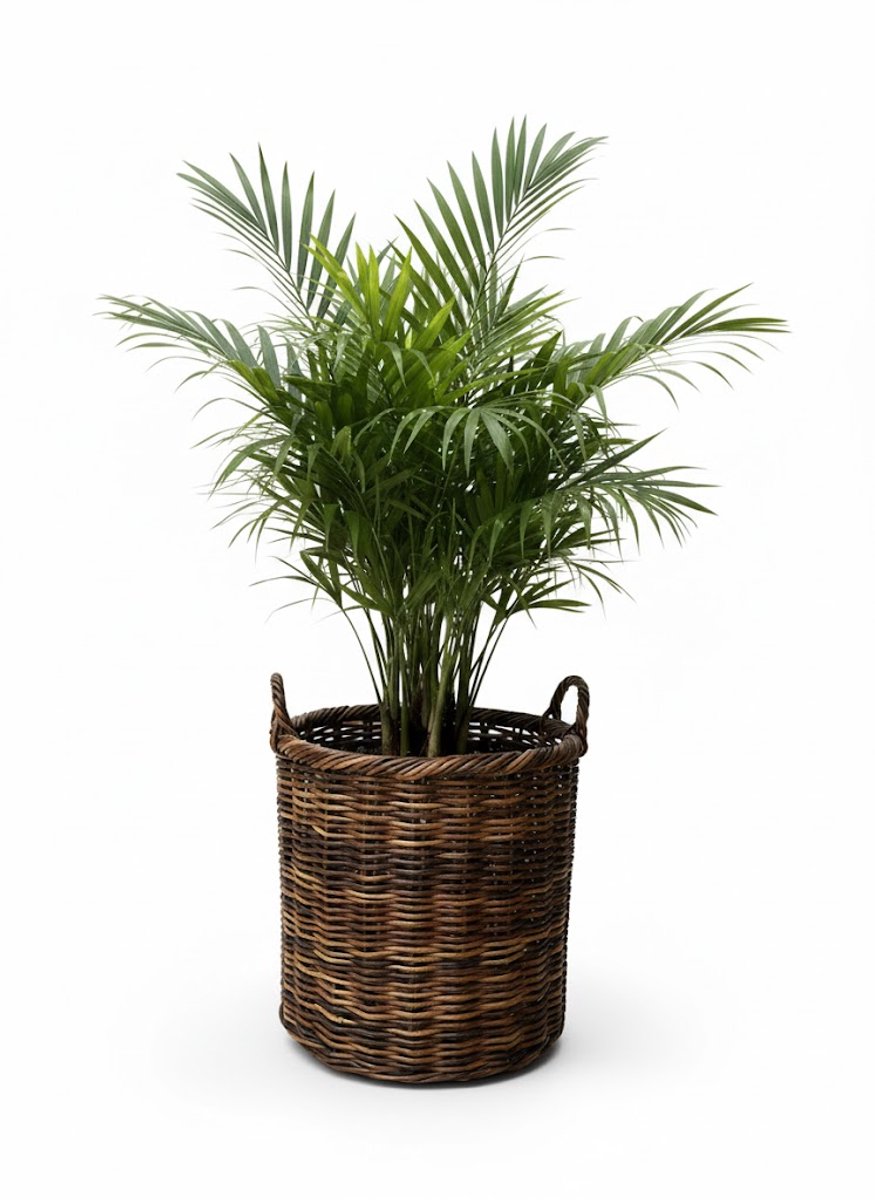 Ronde Rotan Opbergmand - Antiek - Ø52xH51 cm - met handvat