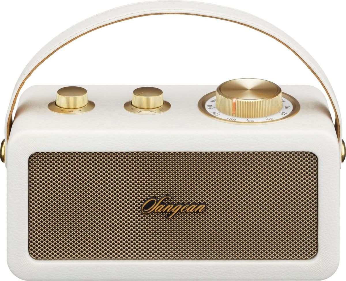 Draagbare FM Radio met Bluetooth AUX Oplaadbare - IVORY