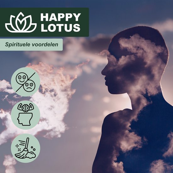 Silhouet van een hoofd met wolken erin en icons voor emoties, hersenen en een bezem. "Happy Lotus Spirituele voordelen".