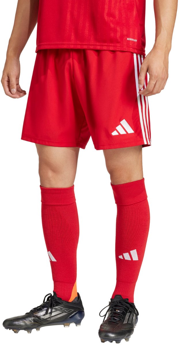 Herenshort adidas Tastigo 25 - Rood - S