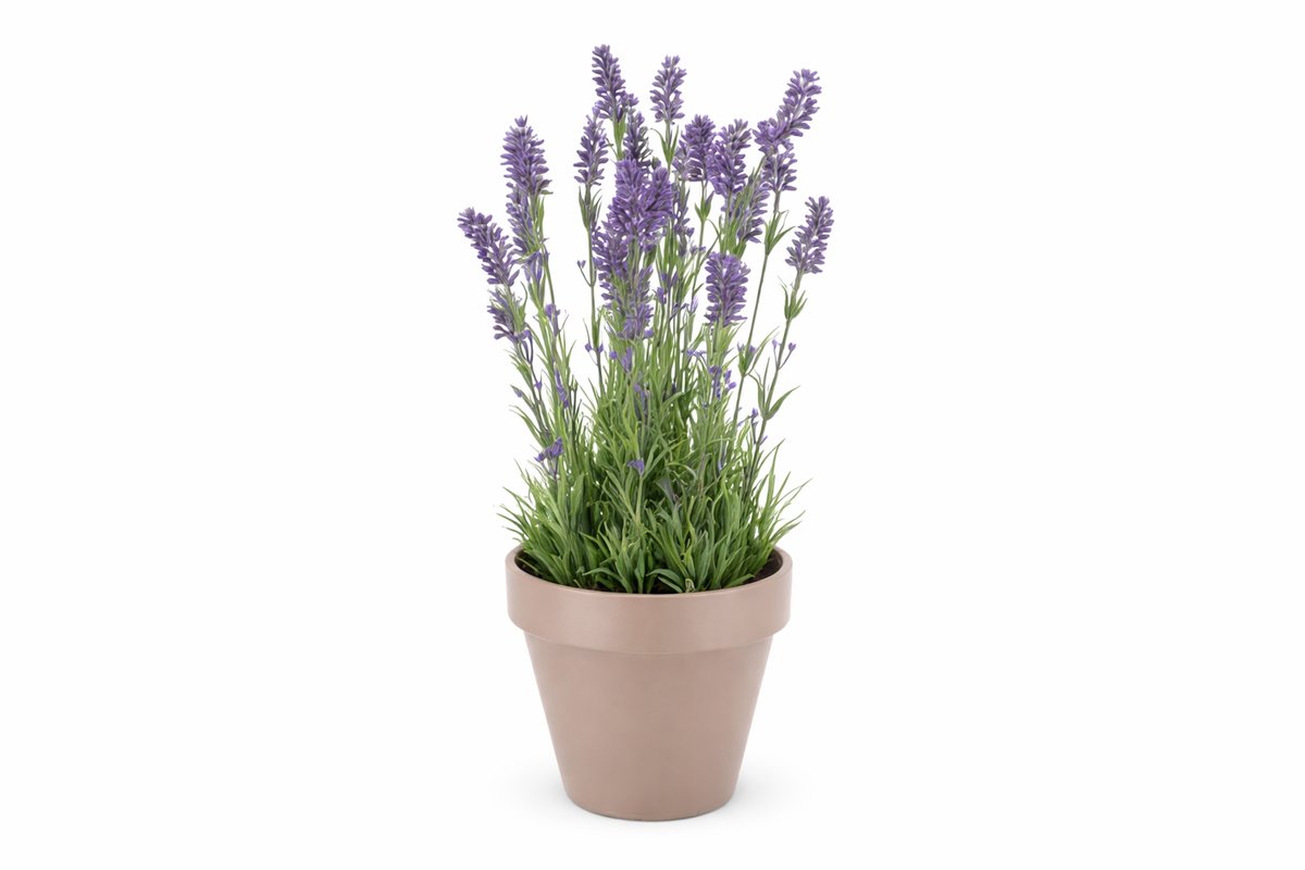 Daan-Kromhout SILK LAVENDER PURPLE POT TERRA L 32X32X53CM Lila